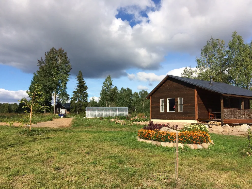 Загородный дом в лесу на Финском заливе