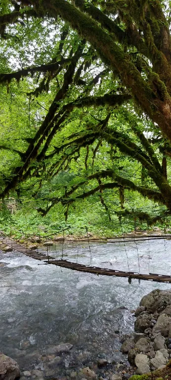 Дом для спокойного отдыха