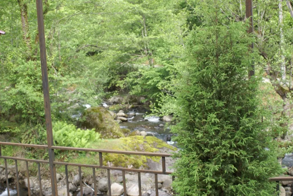 Квартира Квартира Дом в деревне на горной речке в 15 километрах от Батуми — Зеда Тхилнари