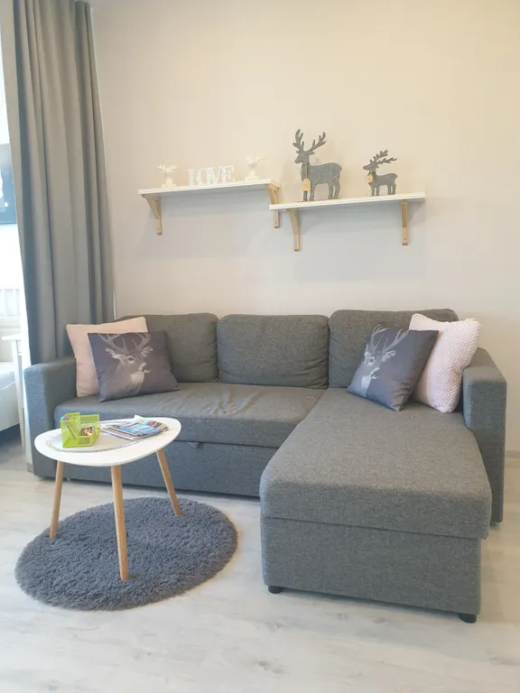 Скандинавский простор- уютно и светло, исторический центр города