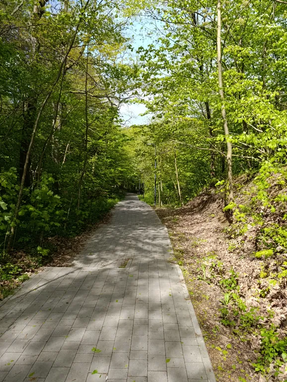 Квартира Квартира Уютная студия 33 м. Кв. С 2 кроватями, у моря с видом на лес — Светлогорск