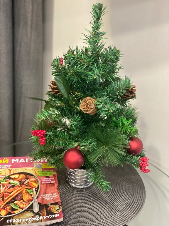 Уютная красивая квартира-студия