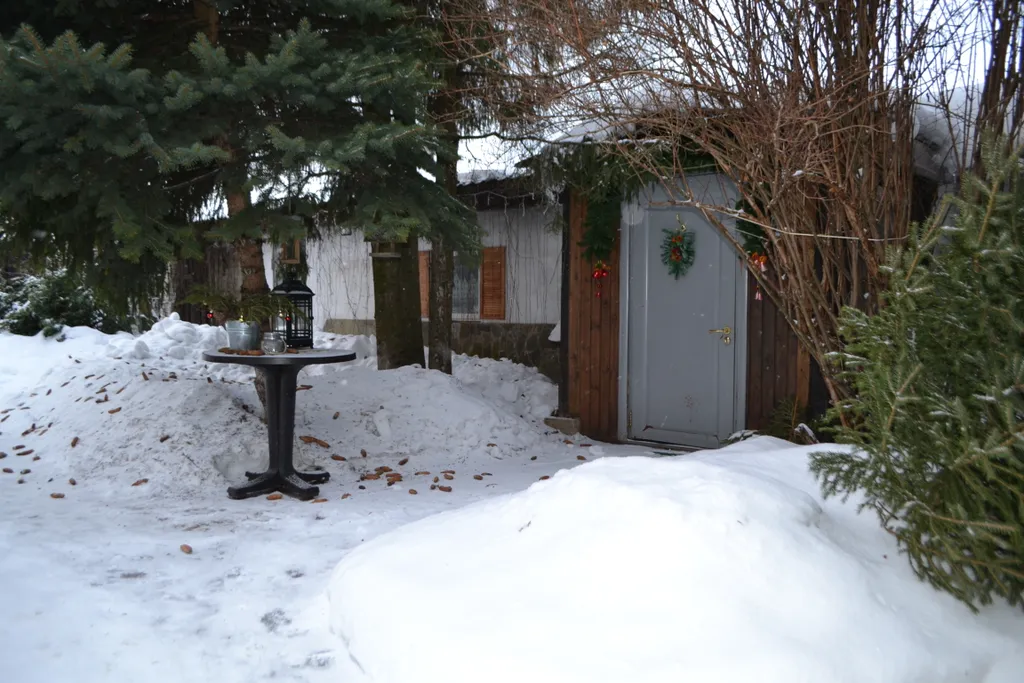 Коттедж Уютный домик для отдыха в деревне — Голицыно