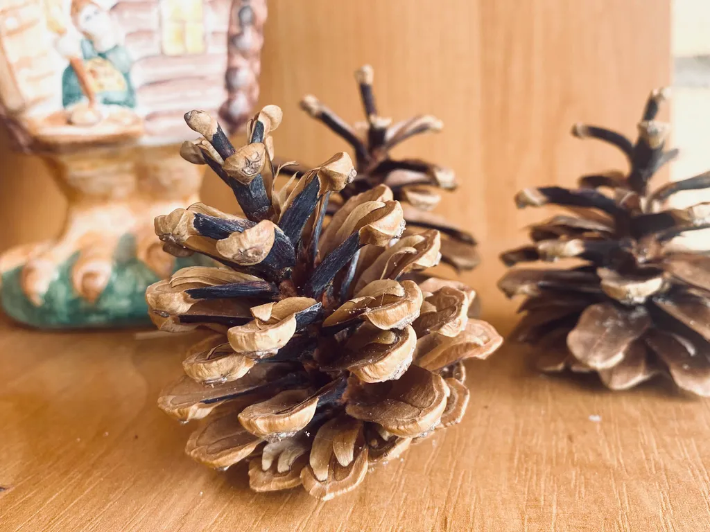 Квартира Квартира Как дома - уютное жилье у моря — Зеленоградск