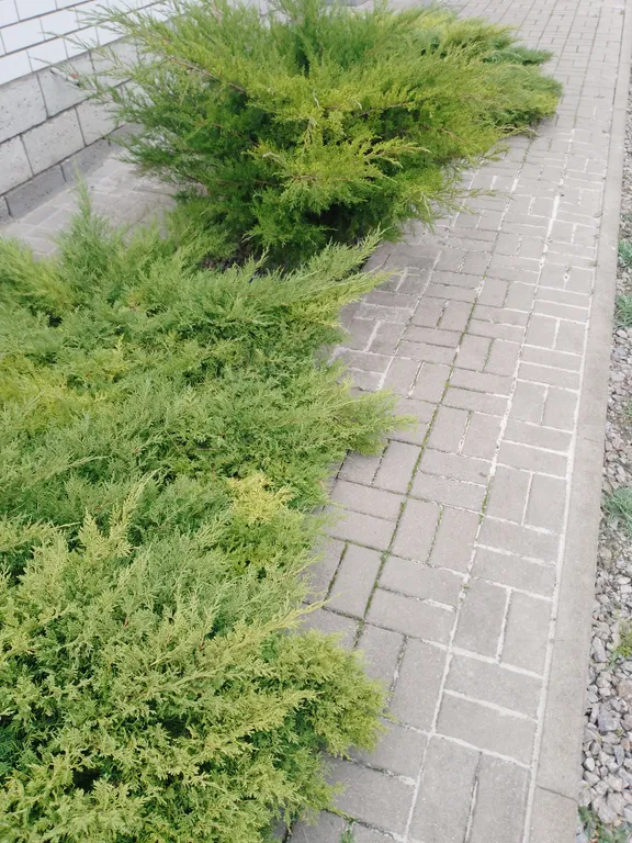 Коттедж в уютном районе