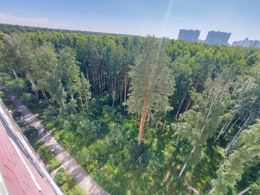 Квартира Квартира с комфортом у леса — Екатеринбург