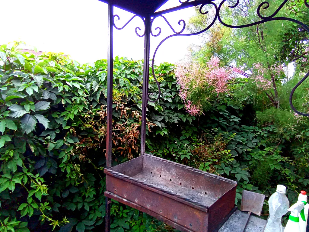 Азовская русалочка