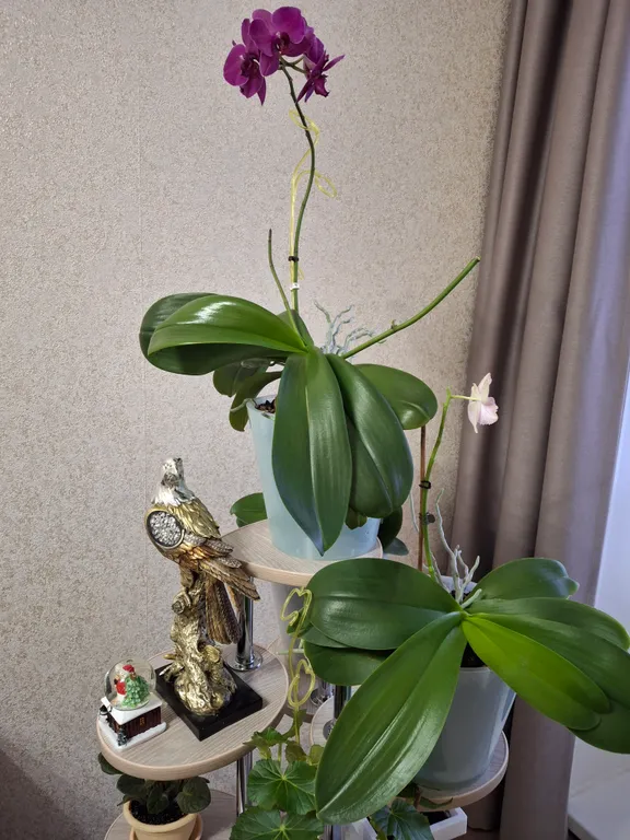 Уютная квартира в самом центре города напротив места основания города