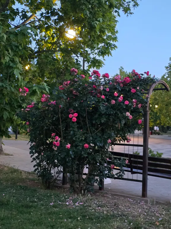 Квартира Апартаменты 102 Парк Победы — Севастополь