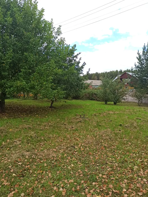 Гостевой дом с большой территорией