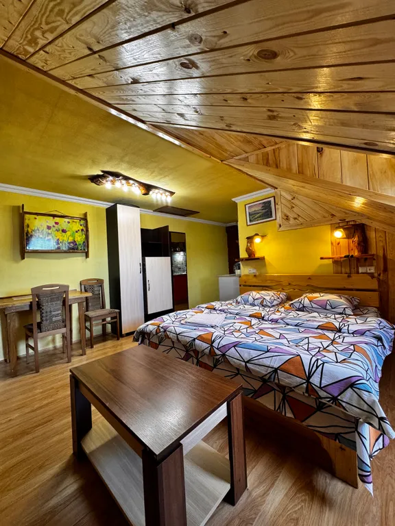 Апартаменты-студио с видом на озеро для 2 гостей на озере Дривяты