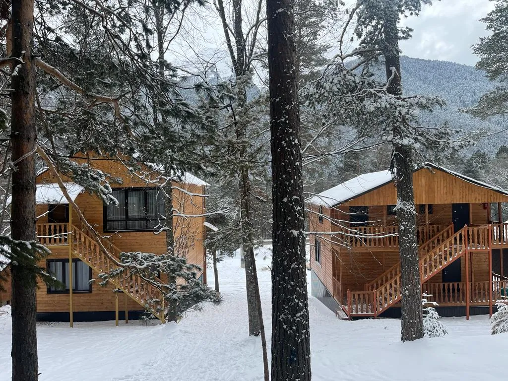 3-комнатный Дом