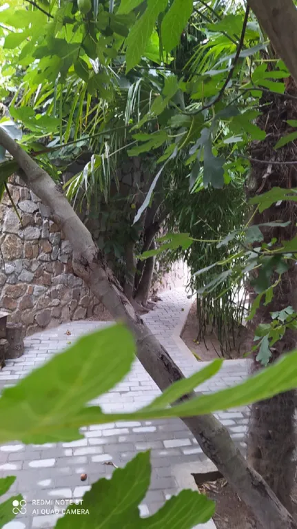 Коттедж Уютный Домик в центре города. — Ялта