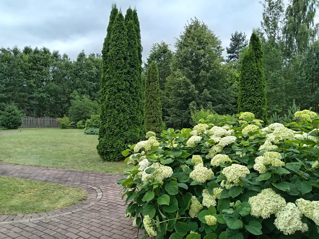 Домик с русской печкой и со всеми удобствами