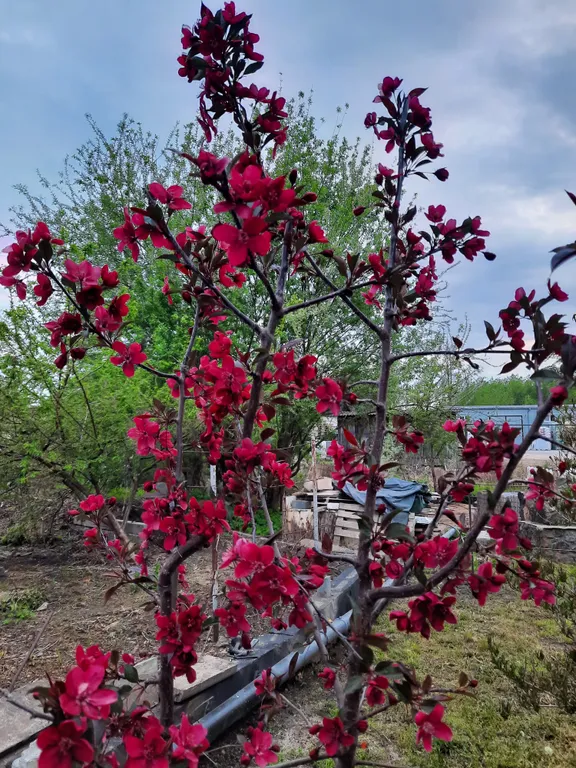 Дом в центре