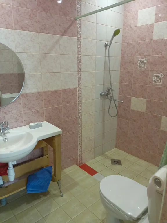 Большой дом с бассейном, просторным залом беседкой и детским домиком