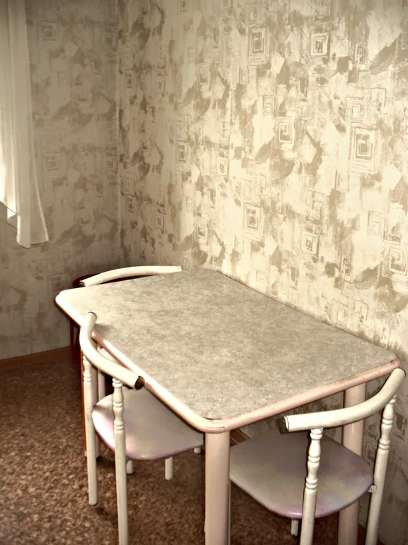 Двухкомнатные апартаменты в деловом центре города