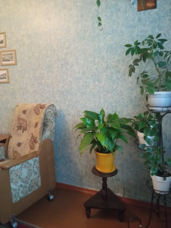 Квартира-музей для отдыха всей семьёй