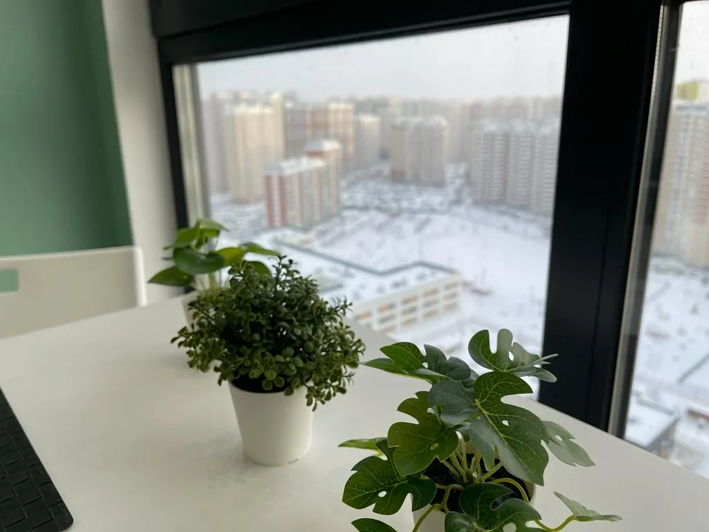 Студия с панорамными окнами
