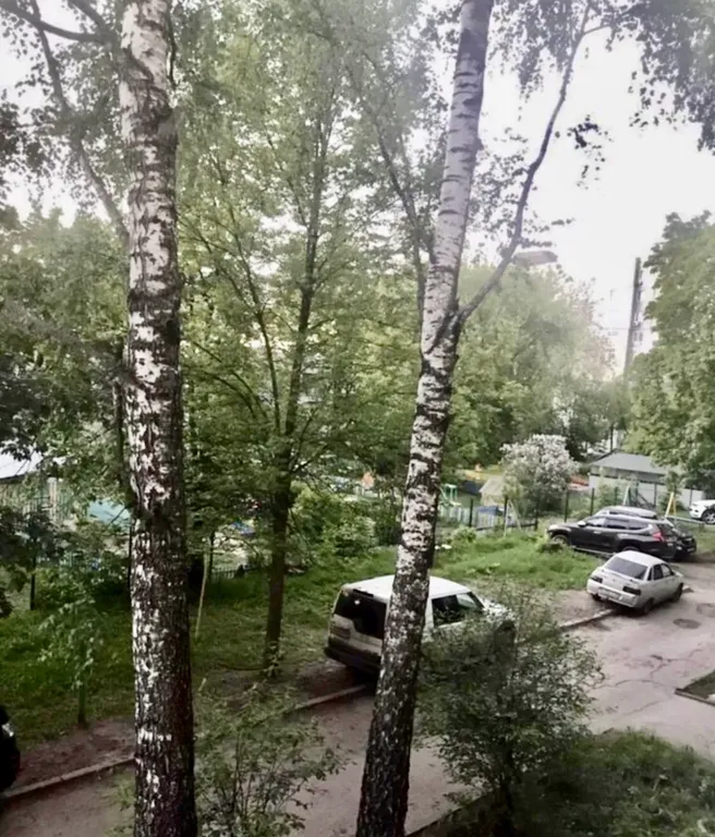 Чистюля в центре