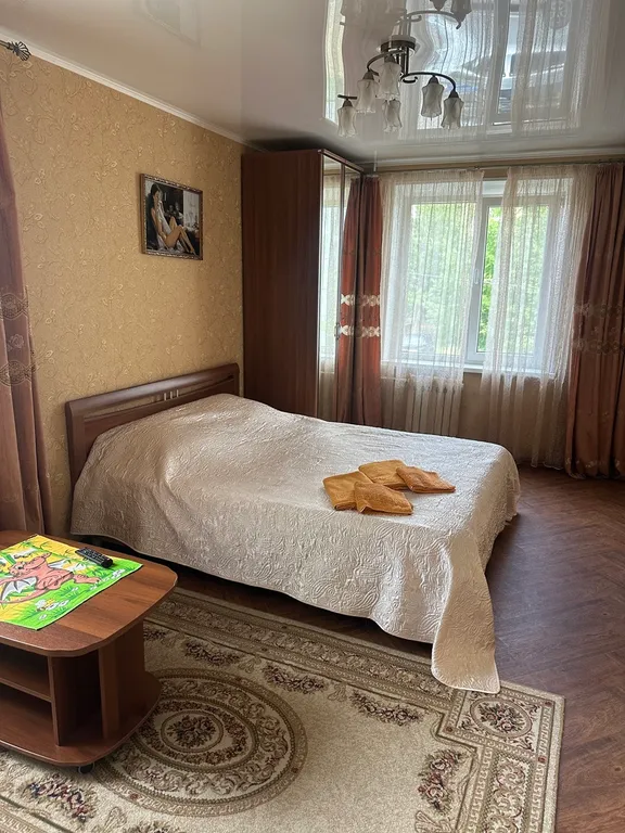 1-комнатная квартира на северо-востоке — аренда посуточно в Петропавловск-Камчатский