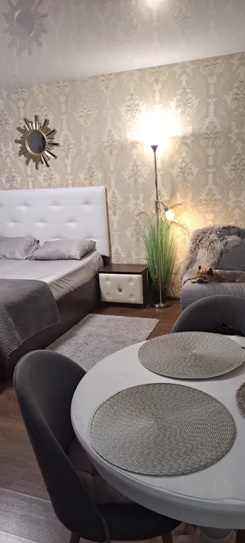 Студия в центре города, парк, ледовая арена