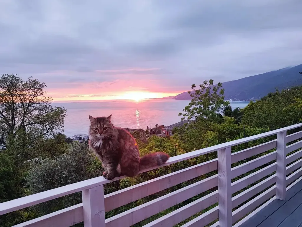 Коттедж Четырёхместный номер с видом на море — Гагра