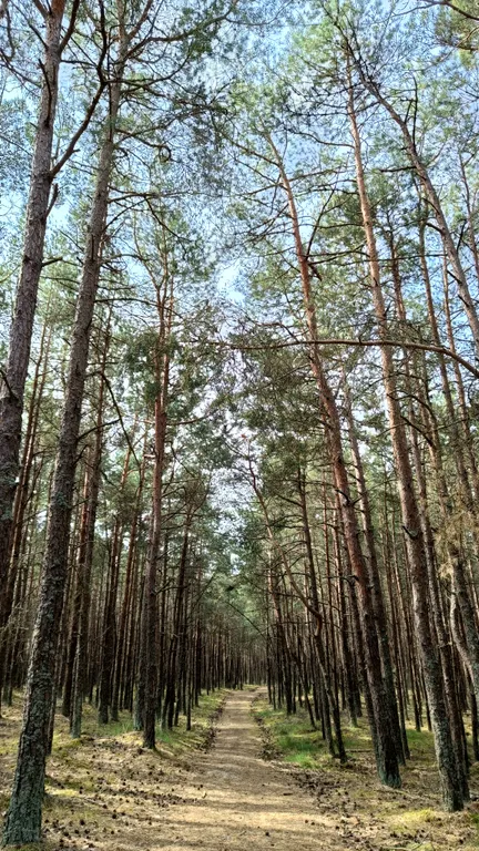 Апартаменты на Балтике