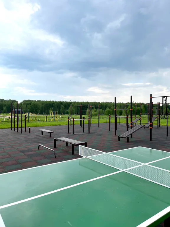 Дом с сауной у пруда