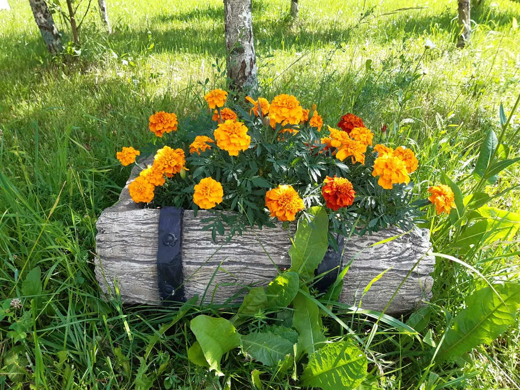 Дом в деревне