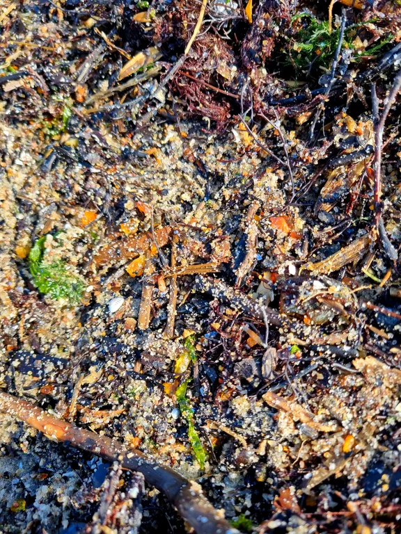 Квартира с видом на море