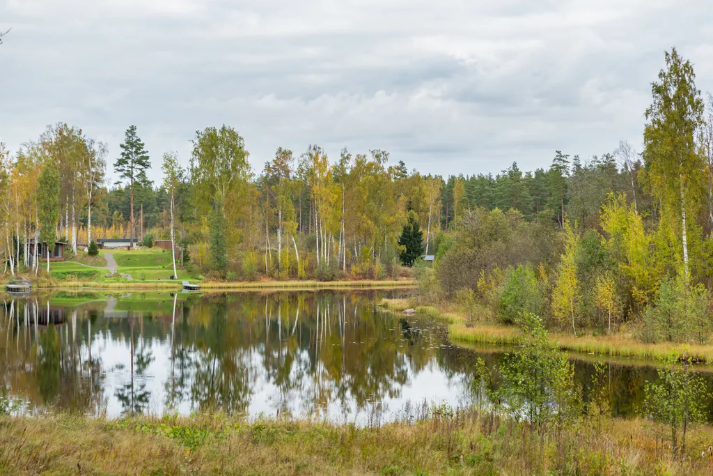 Коттедж Дом с видом на озеро в окружении леса, рядом с курортом "Игора" — Снегиревка