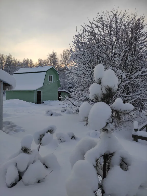 Киви со сливками