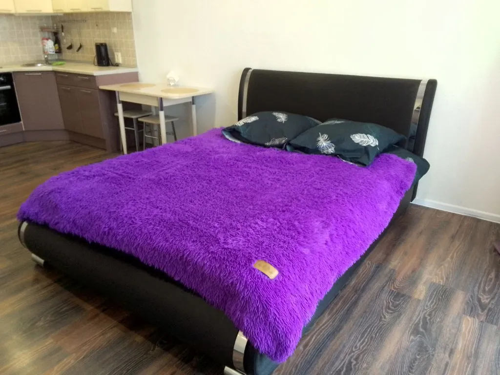 Студия в заставе