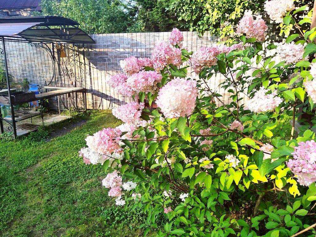 Теплый дом Игора рядом