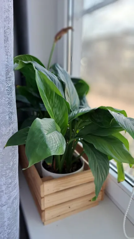 Подходящая квартира в центре