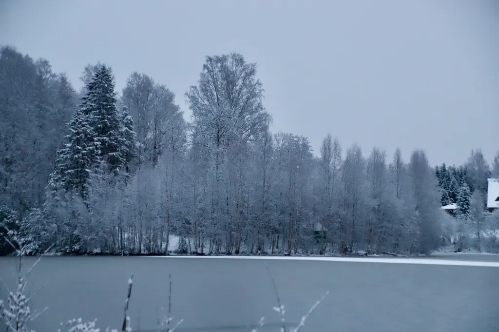 Дом для отдыха Хэйлун дом №86 "поднебесная"