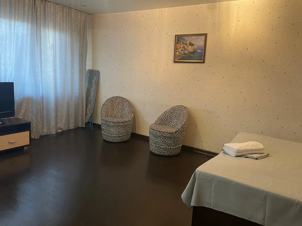 Уютная квартира на Предмостной площади