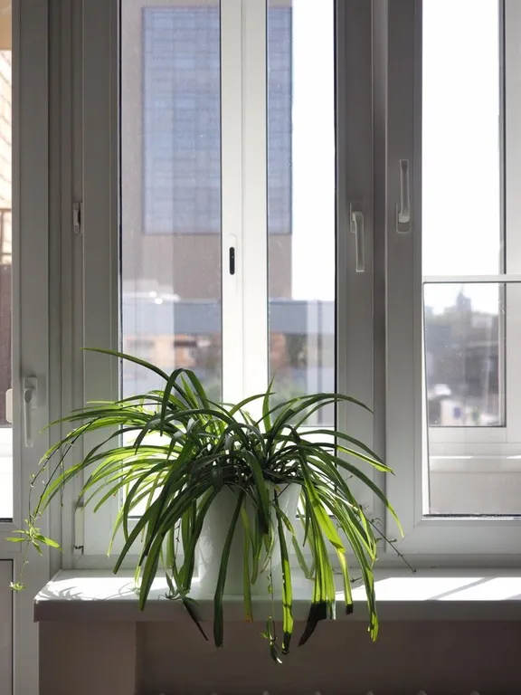 MaxRealty24 квартира недалеко от м. Тушинская, аэропорта Шереметьево