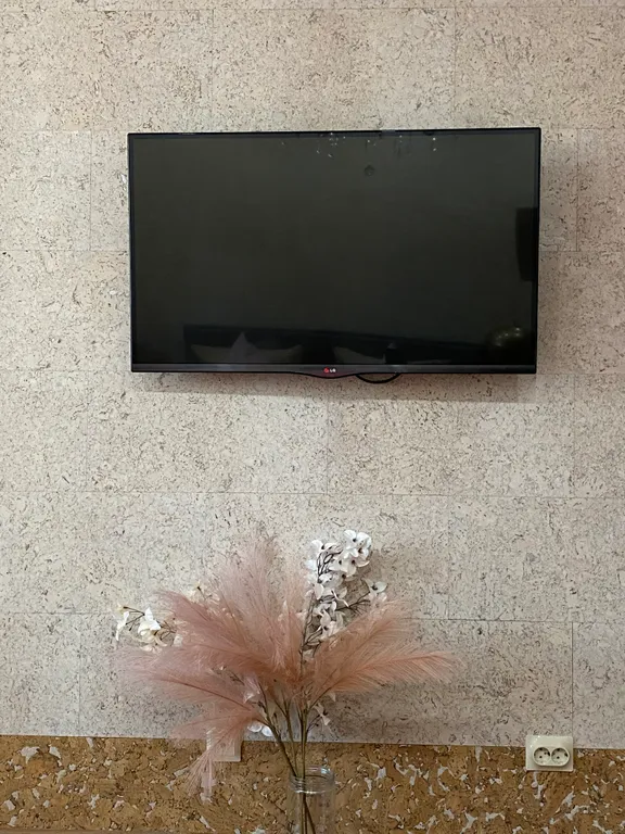 Благоустроенная просторная евродвушка