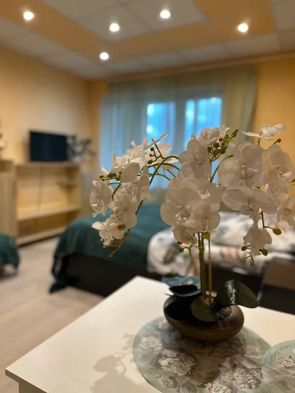 Стильная студия в удобной локации