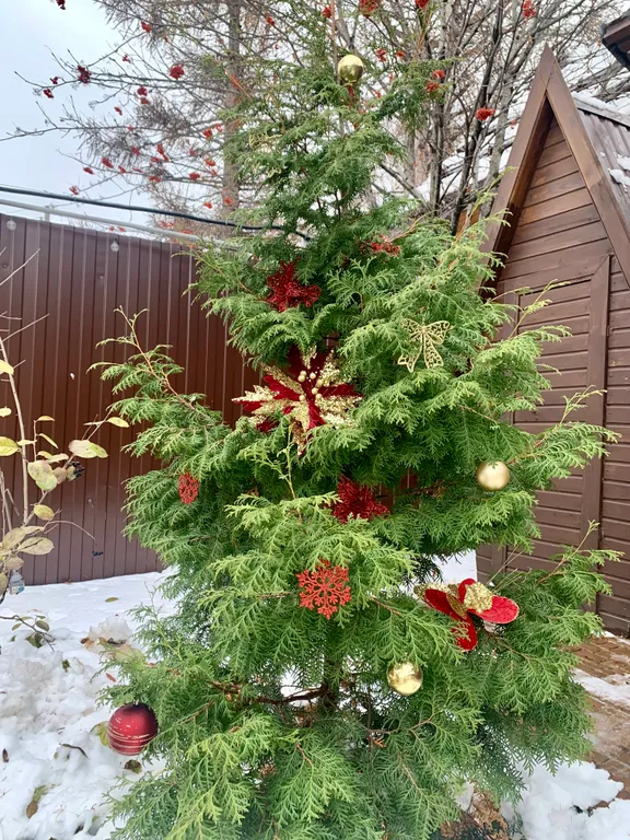 Дача вблизи моря с зоной bbq