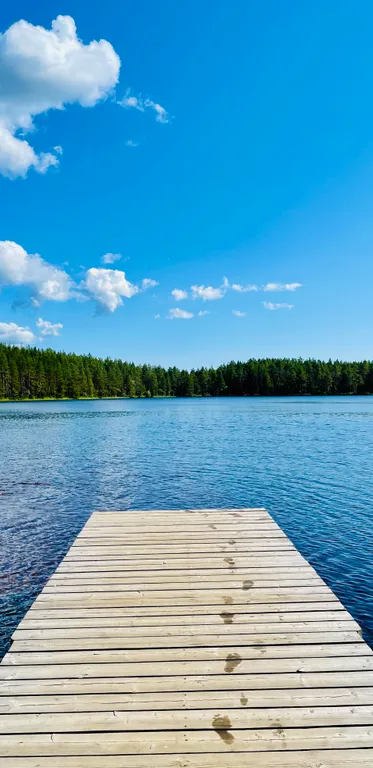 Уютный дом в Карельской деревне