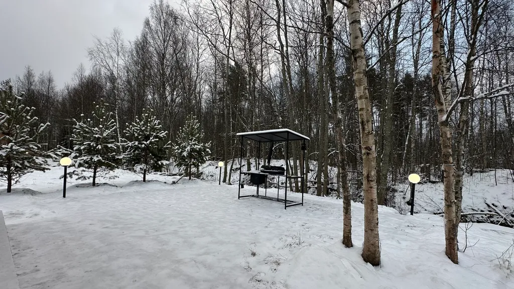 Дом с видом на лес