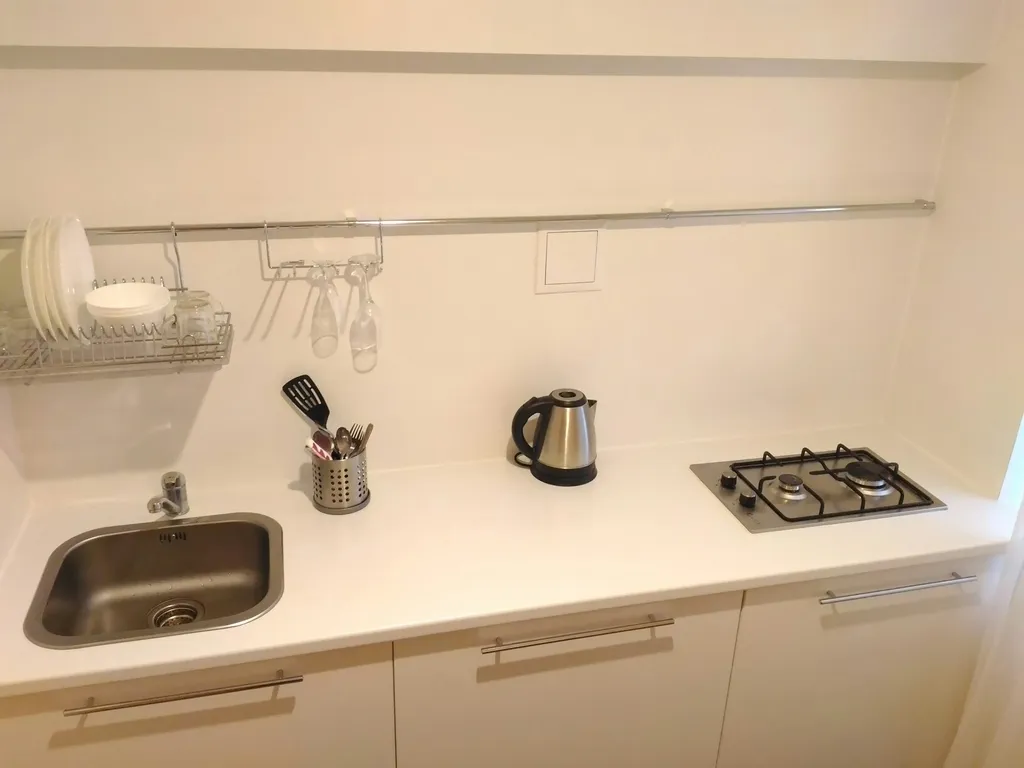 1-комнатный апартамент в центре