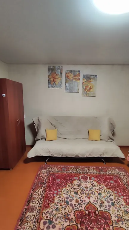 Уютная 1-комнатная квартира с отчетными документами