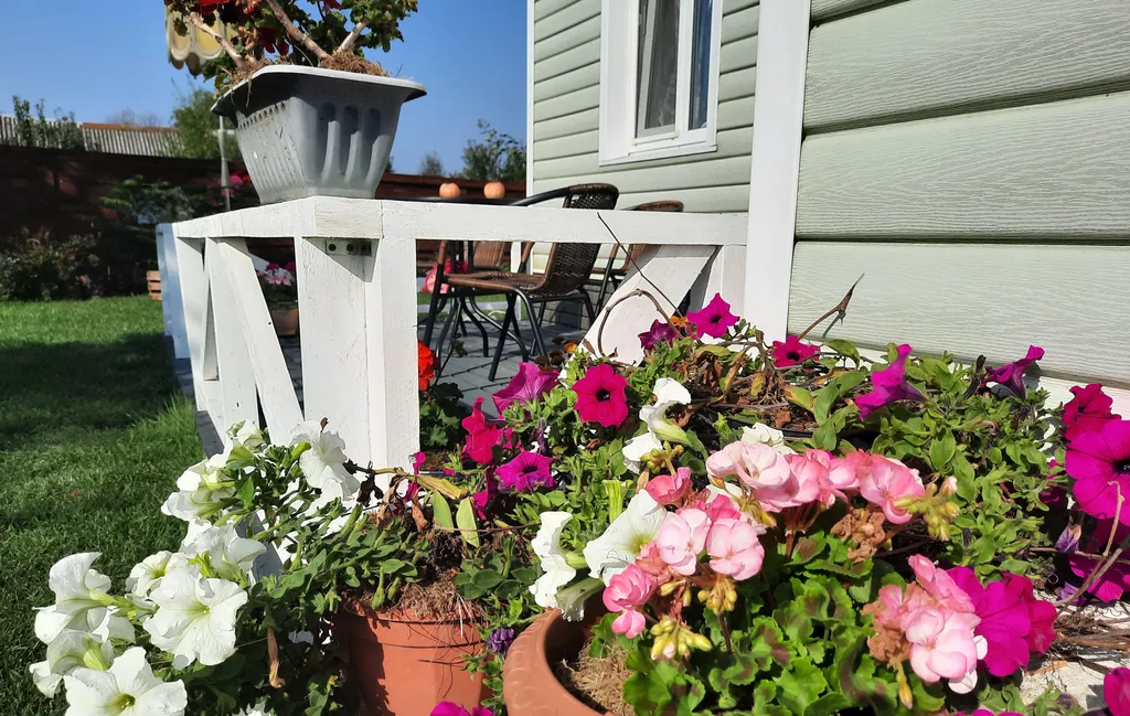 Усадьба со всеми удобствами