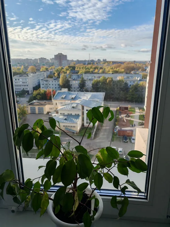 Уютная квартира у ТЦ Мармелад на Пошехонском шоссе