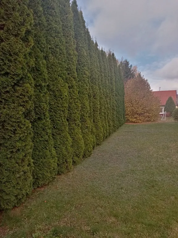 Коттедж под Брестом