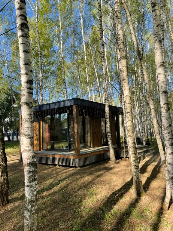 Самый уютный дом с панорамным остеклением в березовом лесу
